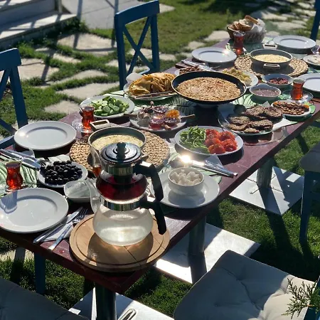 Palmiye *