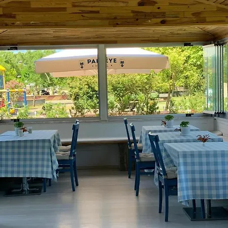 Palmiye * Ağva