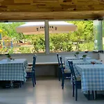 Palmiye * Agva (Marmara)